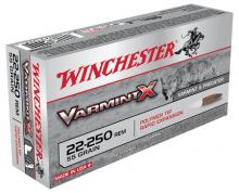 Winchester X22250P