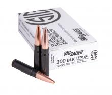 Sig Sauer E300H1-SBR-20