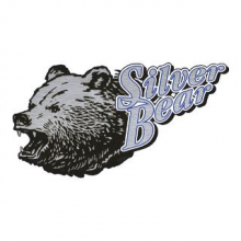 Bear Ammunition A762SPNB