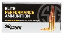 Sig Sauer E308M2-20