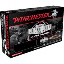 Winchester S65LR