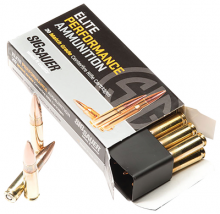 Sig Sauer E300H1-20