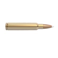 Nosler 60086