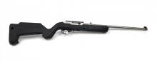 Ruger 10/22