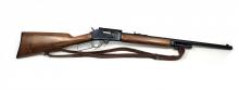 Marlin 1895