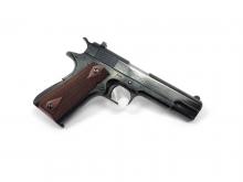 Colt ACE