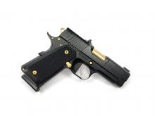 Nighthawk Custom UNMARKED