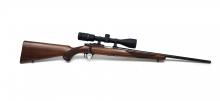 Ruger 77/22