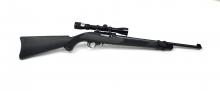 Ruger 10/22