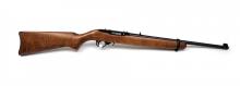Ruger 10/22