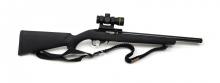 Ruger 10/22