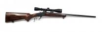 Browning 1885