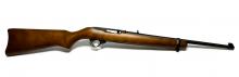 Ruger 10/22