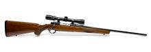 Ruger M77