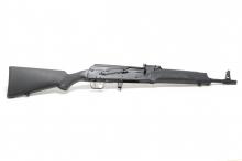 Other Saiga