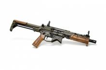 Battle Arms Development BAD-300-PARA