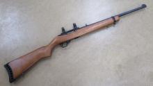 Ruger 10/22