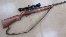 Ruger 10/22
