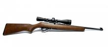Ruger 10/22