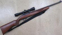 Ruger 10/22