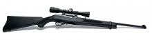 Ruger 10/22
