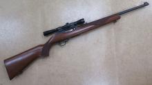 Ruger 10/22