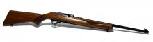 Ruger 10/22