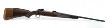 Savage 110