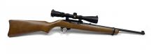 Ruger 10/22