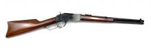 Stoeger 1873