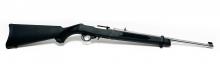 Ruger 10/22