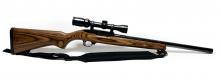 Ruger 10/22