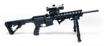 Smith & Wesson M&P15-22