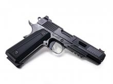 Nighthawk Custom 0087