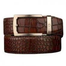 Nexbelt PCR1736