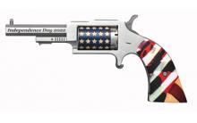 North American Arms NAA-1860-IND