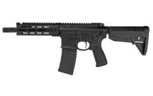 Primary Weapons Systems 22-C107RA1B-NFA