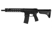 Primary Weapons Systems 22-C111RA1B-NFA
