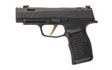 Sig Sauer P365V003 798682659974