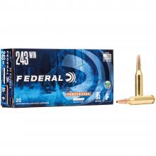 Federal 24385LFA