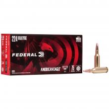 Federal AE224VLK1
