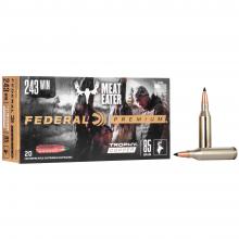 Federal P243TC1
