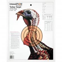 Champion 45780
