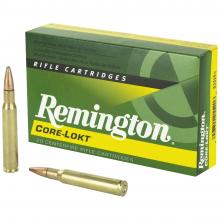 Remington R3006B