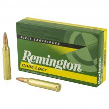 Remington R300W1
