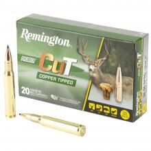 Remington R22343