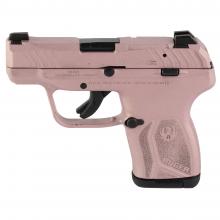 Ruger 13719