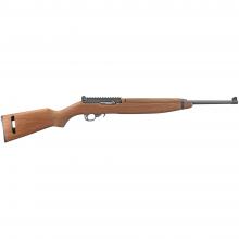 Ruger 21102