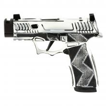 Sig Sauer 300-252-0408-11 810105519952