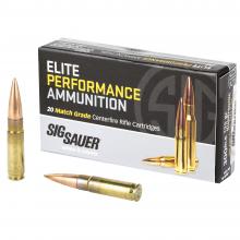 Sig Sauer E300A1-20
